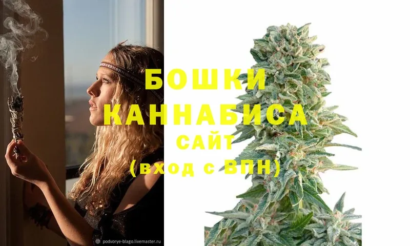 Шишки марихуана THC 21%  Алексин 